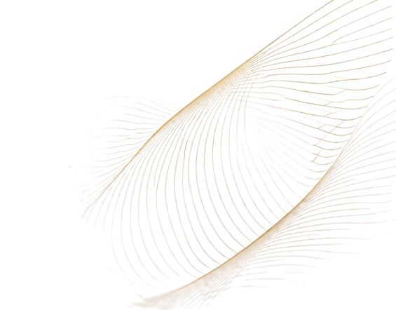 d85f0524 b0d9 4495 8ac0 2947d24213fc removebg preview